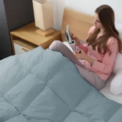 Cheer Collection Down Alternative Hypoallergenic Comforter