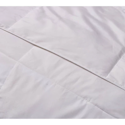 Microfiber Down Blend Comforter (Twin) White - Blue Ridge Home Fashions - Image 2