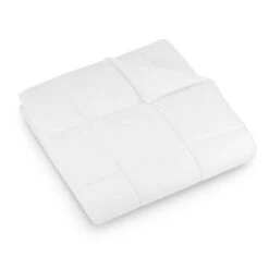 Lightweight Goose Down Alternative Comforter Queen White - DOWNLITE