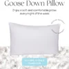 East Coast Bedding Down Pillow - White Goose Down & Feather (Standard)
